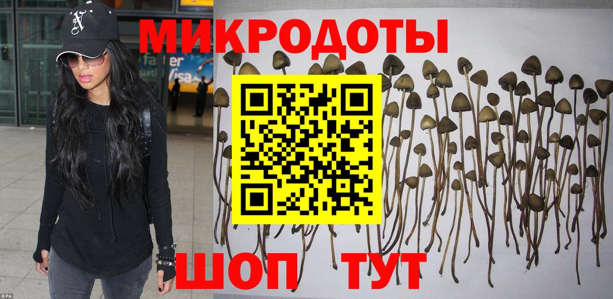 Псилоцибиновые грибы Magic Shrooms Чистополь