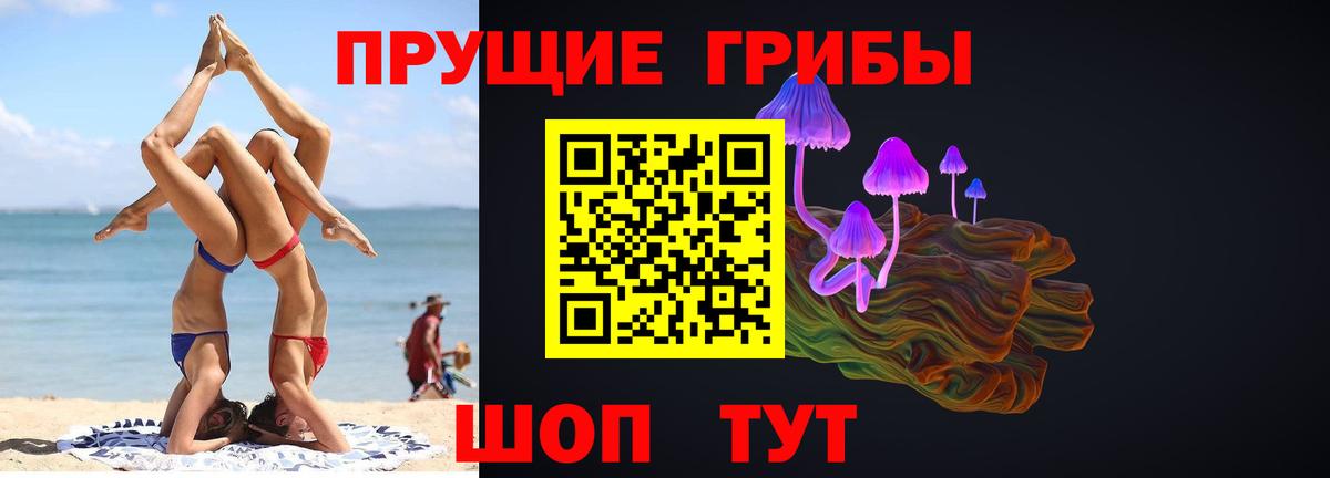 Чистополь  Псилоцибиновые грибы ЛСД  Вход с VPN  Галлюциногенные грибы Psilocybine cubensis 